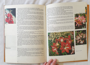 Bulbs For Your Garden by M. J. Monfries