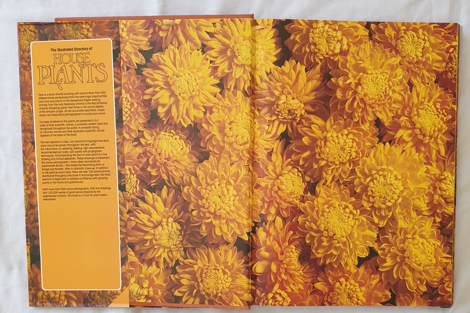 house plant directory The Illustrated Directory of House Plants Compiled by William Davidson – Morgan's Rare Books
