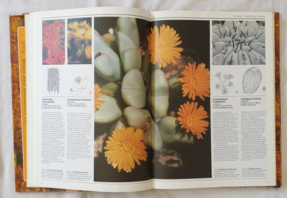 The Illustrated Directory of House Plants Compiled by William Davidson