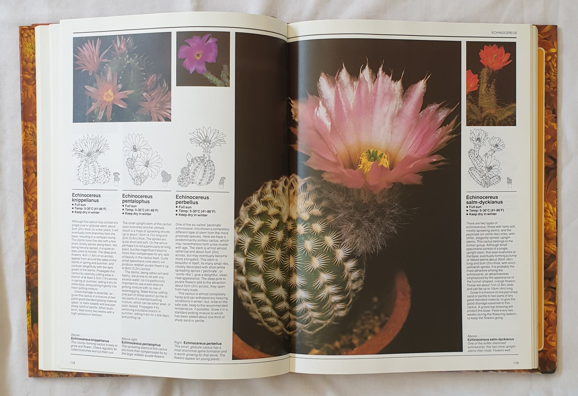 house plant directory The Illustrated Directory of House Plants Compiled by William Davidson – Morgan's Rare Books