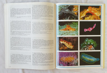 Nudibranchs of Australasia by Richard C. Willan and Neville Coleman