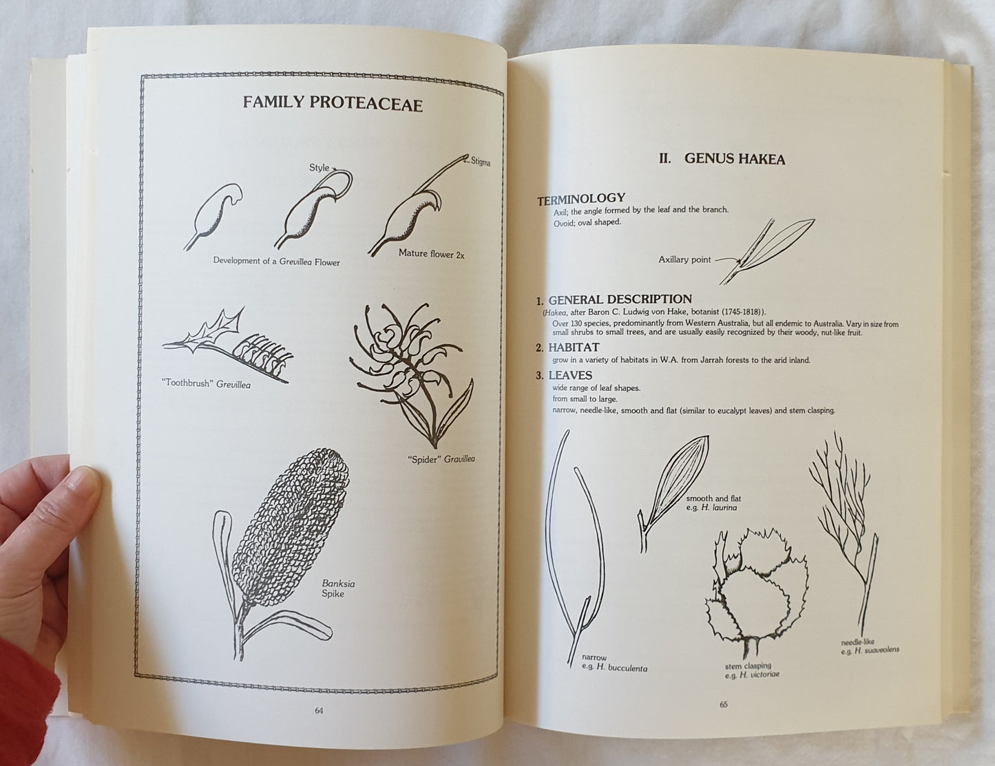 A Study Guide for Native Australian Plants by W. Ross, V. Anderson and J. Turner