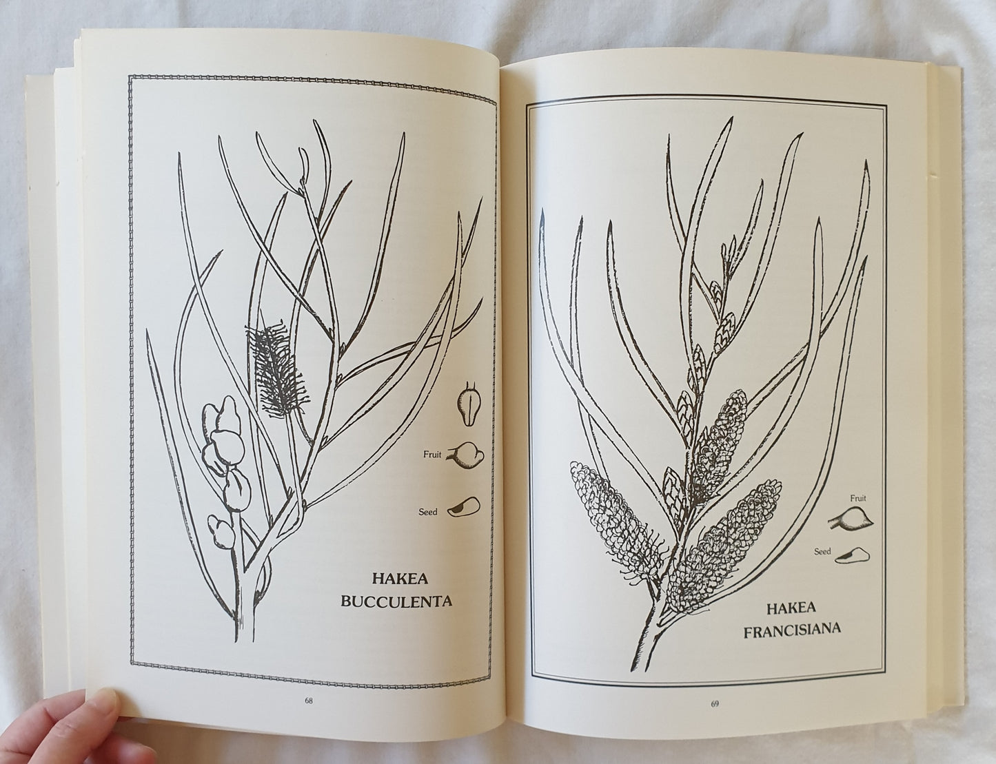 A Study Guide for Native Australian Plants by W. Ross, V. Anderson and J. Turner