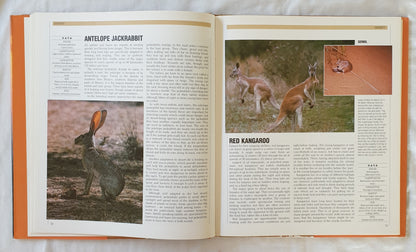 The Encyclopedia of World Wildlife by Mark Carwardine