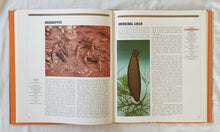 Load image into Gallery viewer, The Encyclopedia of World Wildlife by Mark Carwardine