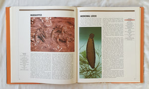 The Encyclopedia of World Wildlife by Mark Carwardine