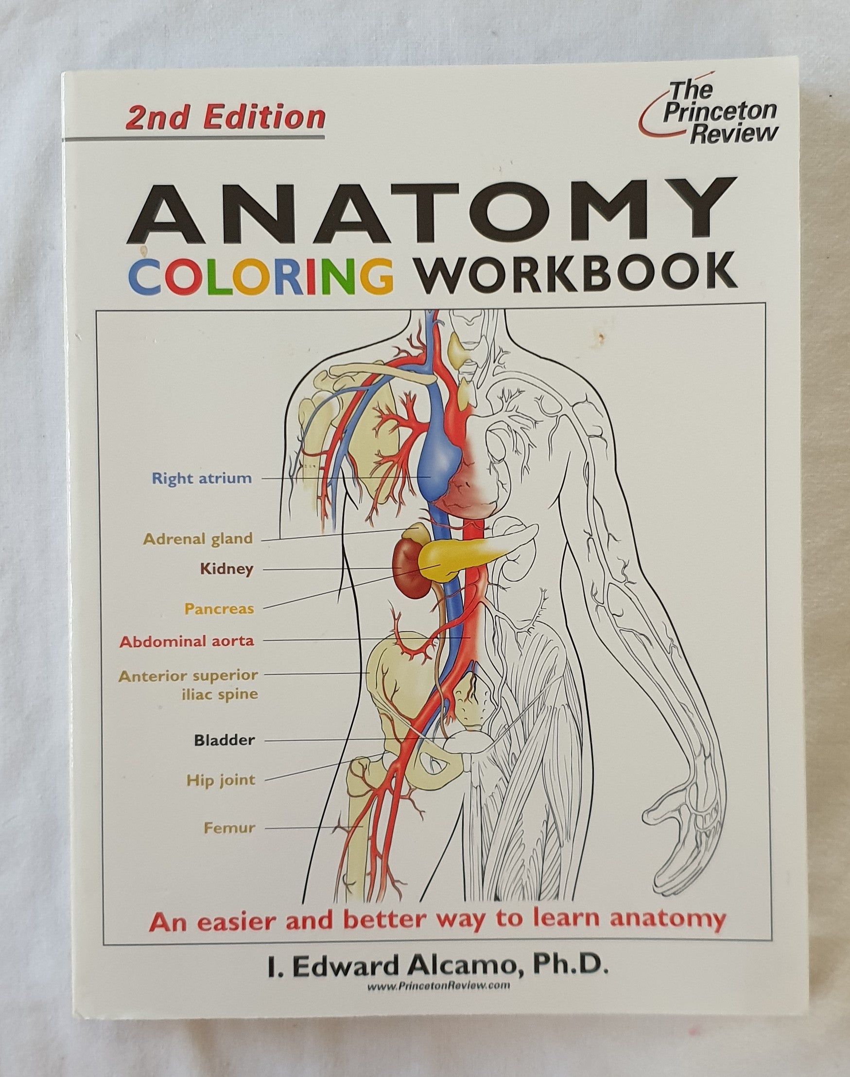 Anatomy Coloring Workbook  An easier way to learn anatomy  by I. Edward Alcamo