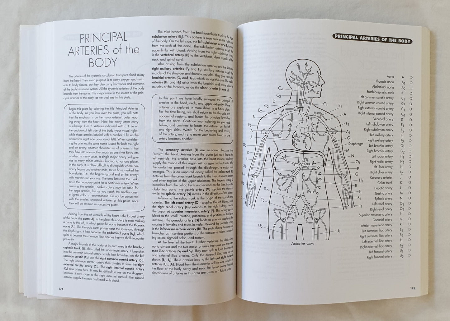 Anatomy Coloring Workbook by I. Edward Alcamo