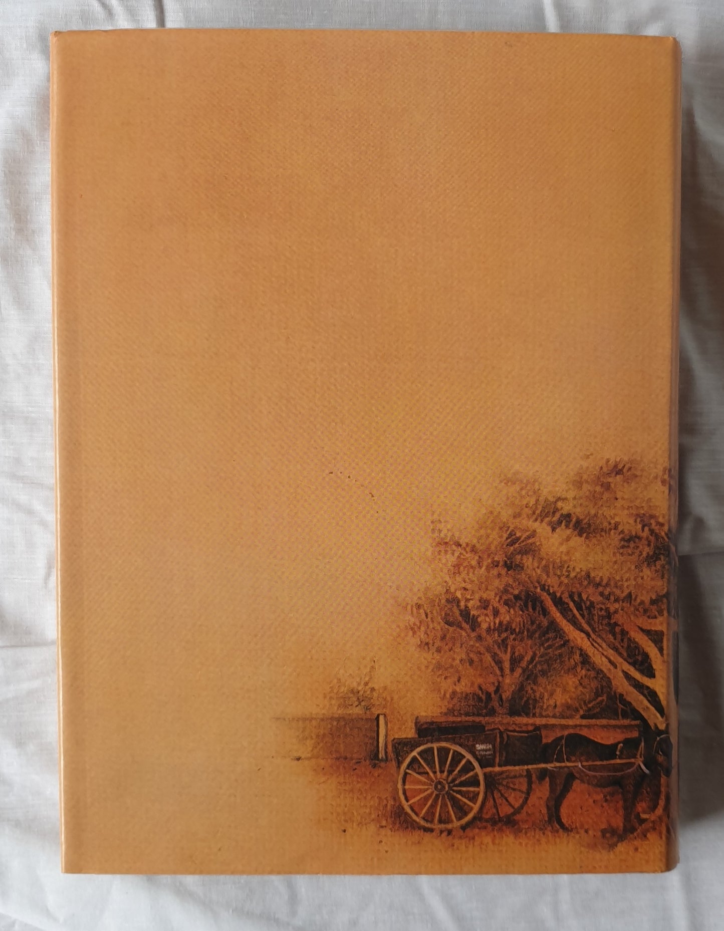 The History of Marion On the Sturt by Alison Dolling