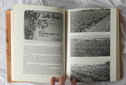 The History of Marion On the Sturt by Alison Dolling