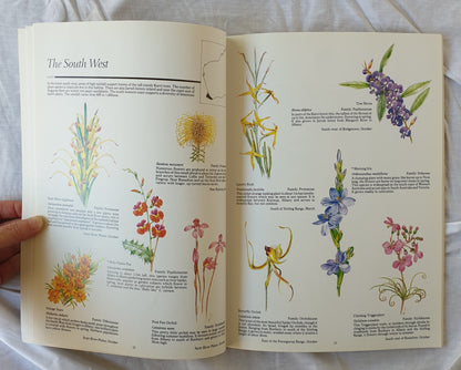 Discovering the Wildflowers of Western Australia by Margaret Pieroni