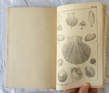 Load image into Gallery viewer, Transactions and Proceedings and Report of the Royal Society of South Australia  Vol. VIII  (For 1884-5)