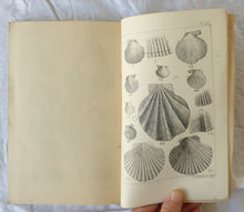 Load image into Gallery viewer, Transactions and Proceedings and Report of the Royal Society of South Australia  Vol. VIII  (For 1884-5)