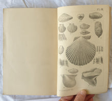 Load image into Gallery viewer, Transactions and Proceedings and Report of the Royal Society of South Australia  Vol. VIII  (For 1884-5)