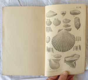 Transactions and Proceedings and Report of the Royal Society of South Australia  Vol. VIII  (For 1884-5)