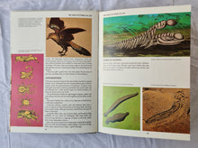 Load image into Gallery viewer, Prehistoric Australia by Hans Mincham