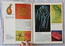 Load image into Gallery viewer, Prehistoric Australia by Hans Mincham