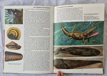 Load image into Gallery viewer, Prehistoric Australia by Hans Mincham