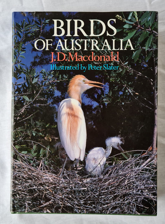 Birds of Australia  A Summary of Information  by J. D. Macdonald  Illustrated by Peter Slater