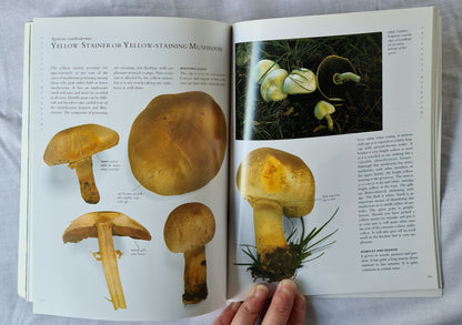 Mushroom Identifier by Peter Jordan