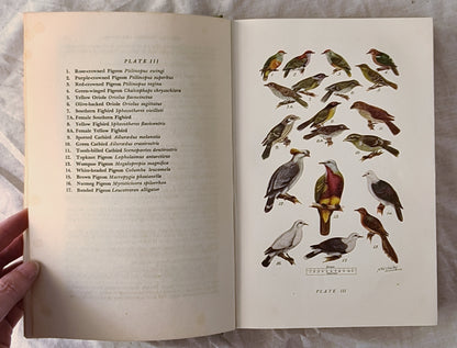 What Bird is That?  A Guide to the Birds of Australia  by Neville W. Cayley