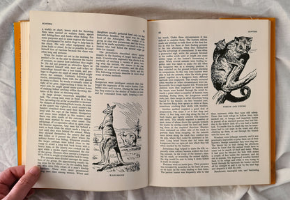 An Illustrated Encyclopedia of Aboriginal Life by A. W. Reed