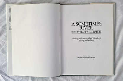 A Sometimes River by Pam Blashki