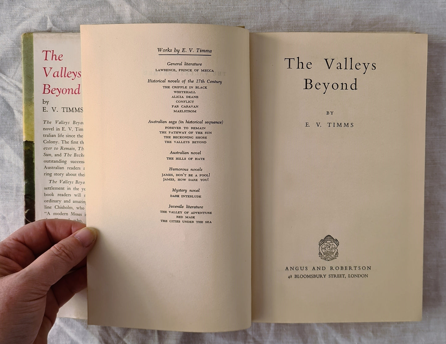 The Valleys Beyond by E. V. Timms