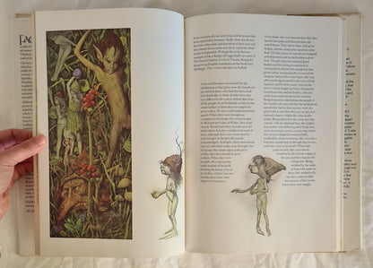 Faeries by Brian Froud and Alan Lee