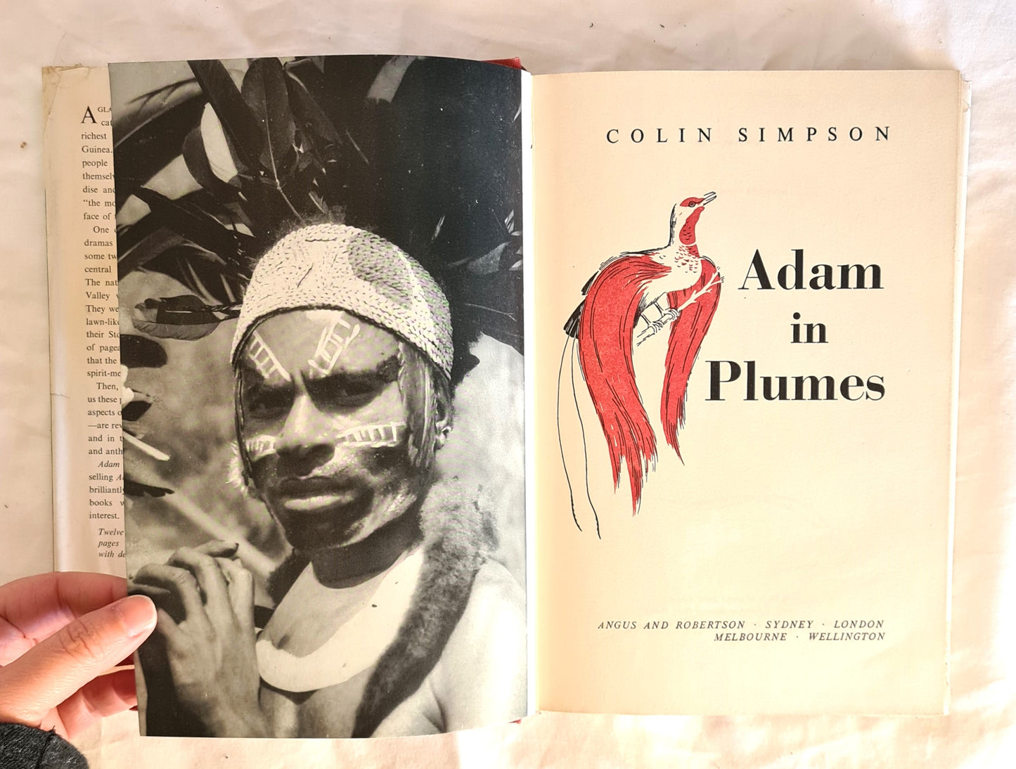 Adam in Plumes by Colin Simpson
