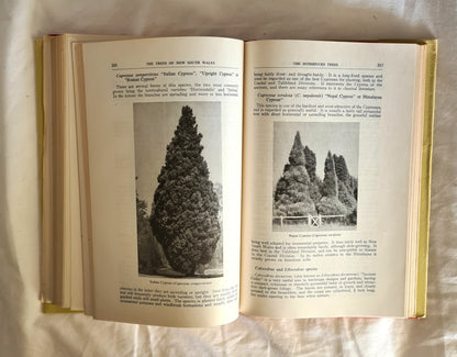 The Trees of New South Wales by R. H. Anderson