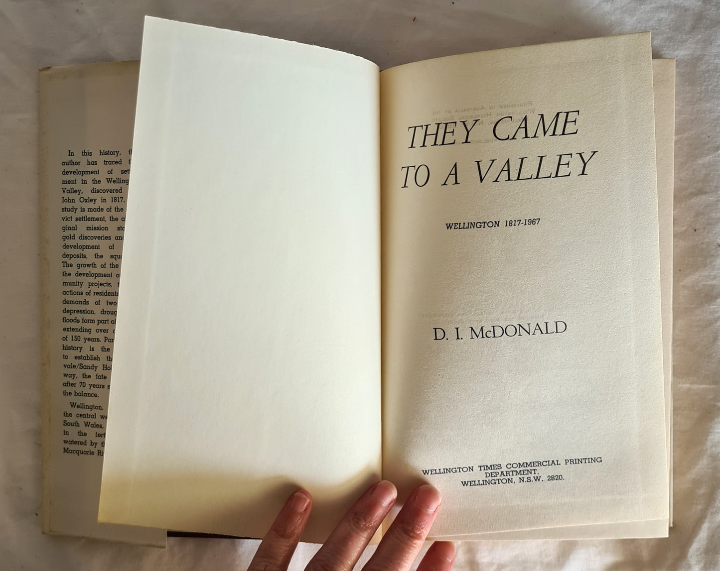 They Came to A Valley by D. I. McDonald