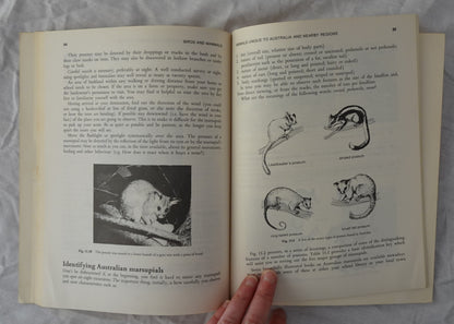Birds and Mammals by Mary McAdam and William McCann