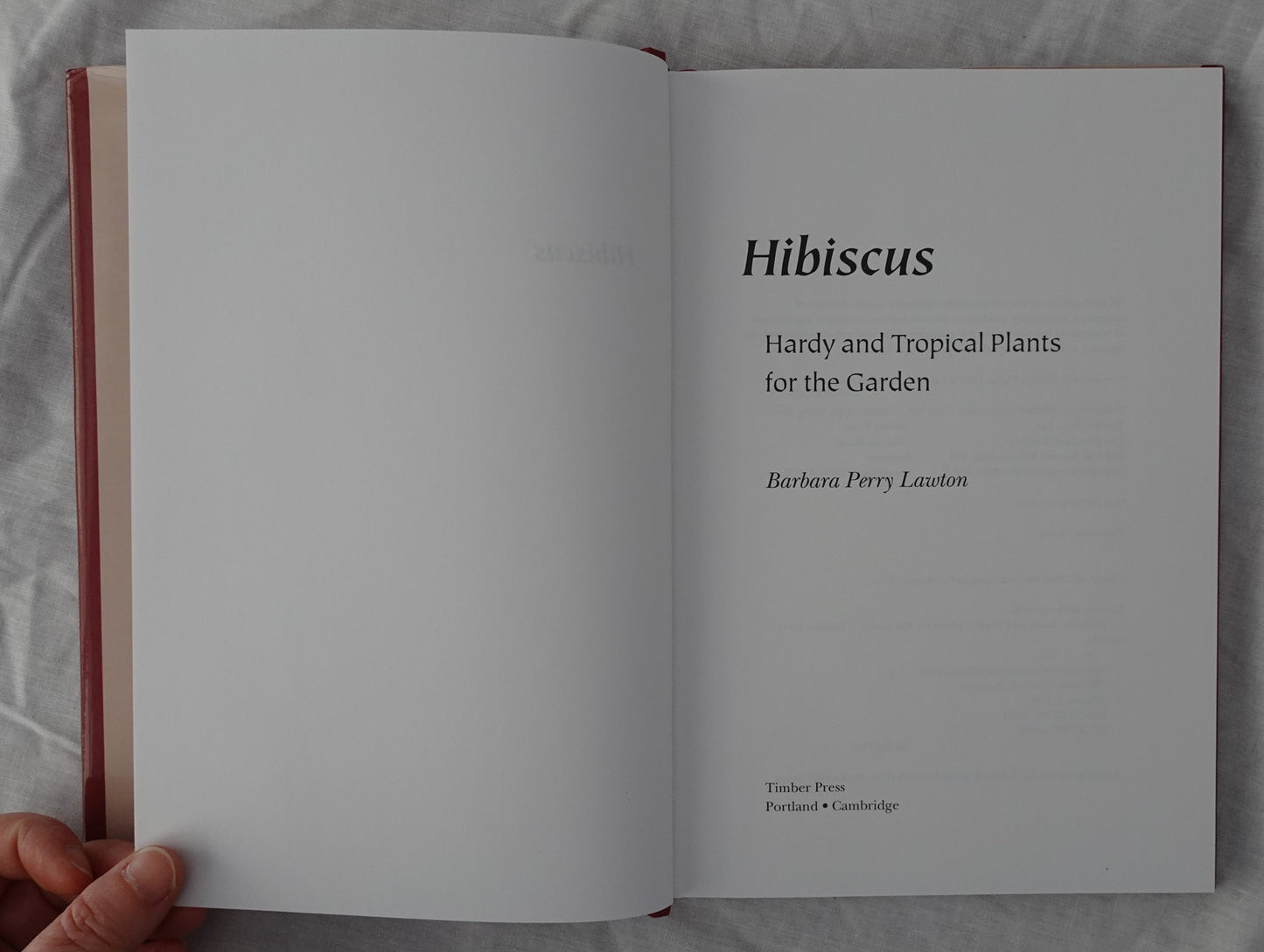 Hibiscus by Barbara Perry Lawton