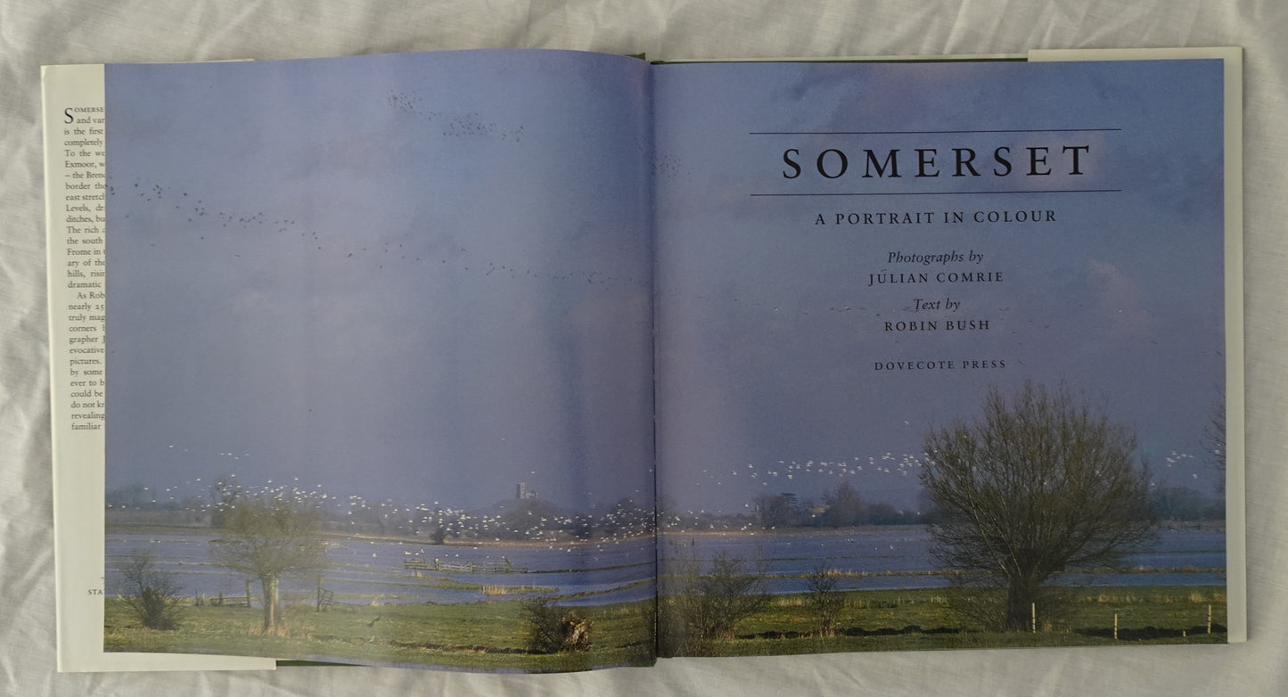 Somerset by Robin Bush