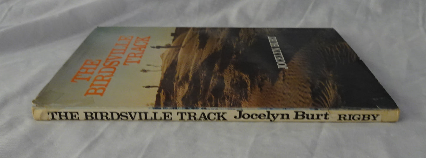 The Birdsville Track by Jocelyn Burt
