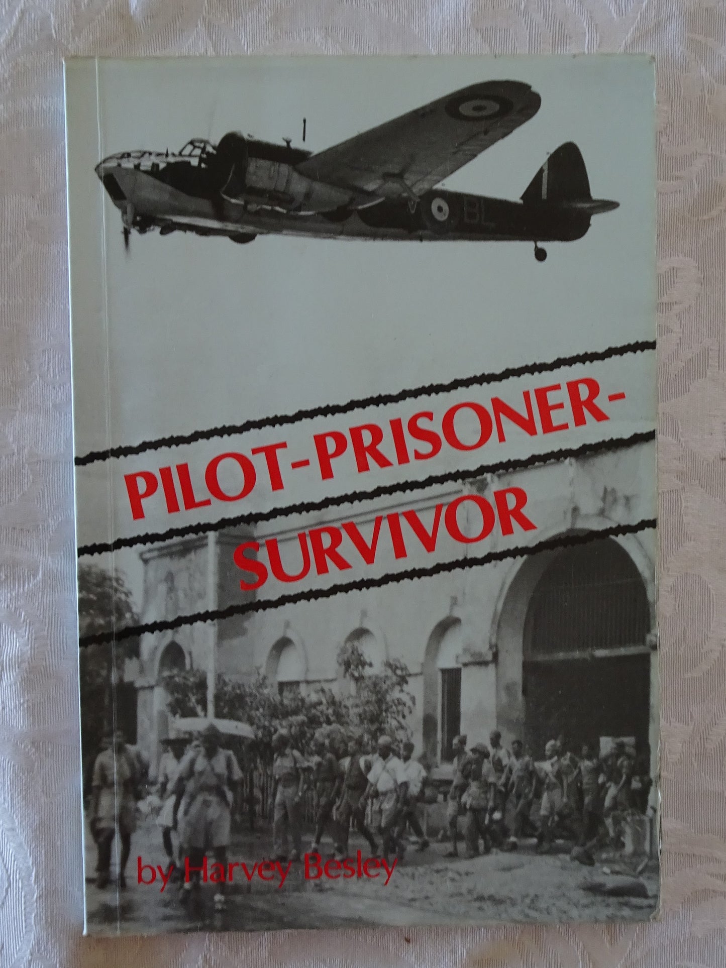 Pilot - Prisoner - Survivor by Harvey Besley