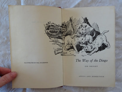 The Way of the Dingo by Sid Wright