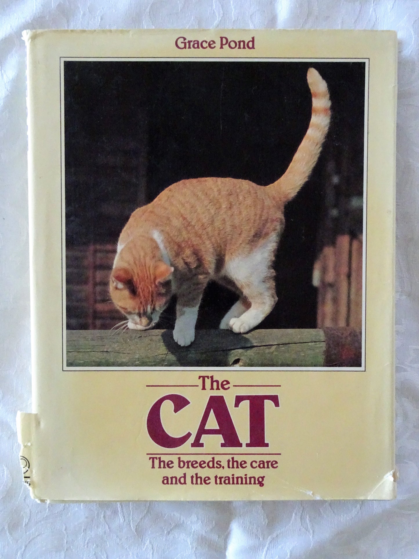 The Cat  The breeds, the care and the training  by Grace Pond