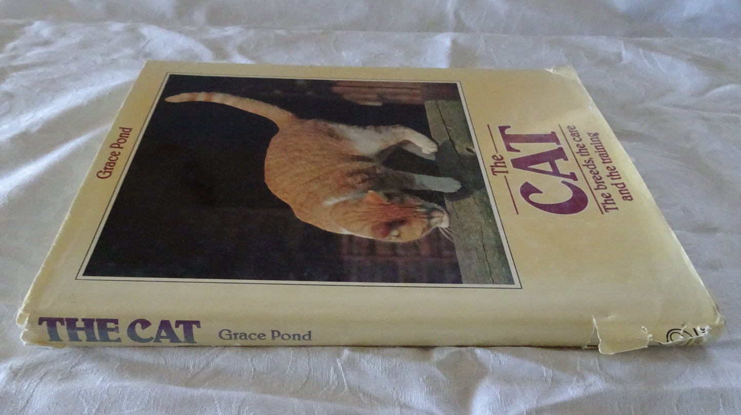 The Cat by Grace Pond