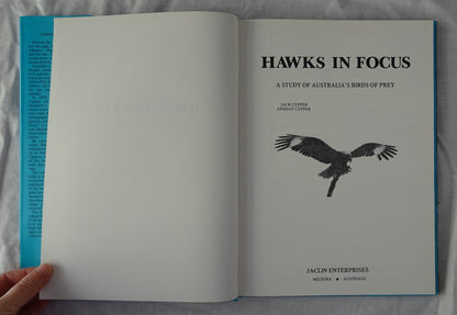 Hawks in Focus by Jack Cupper and Lindsay Cupper