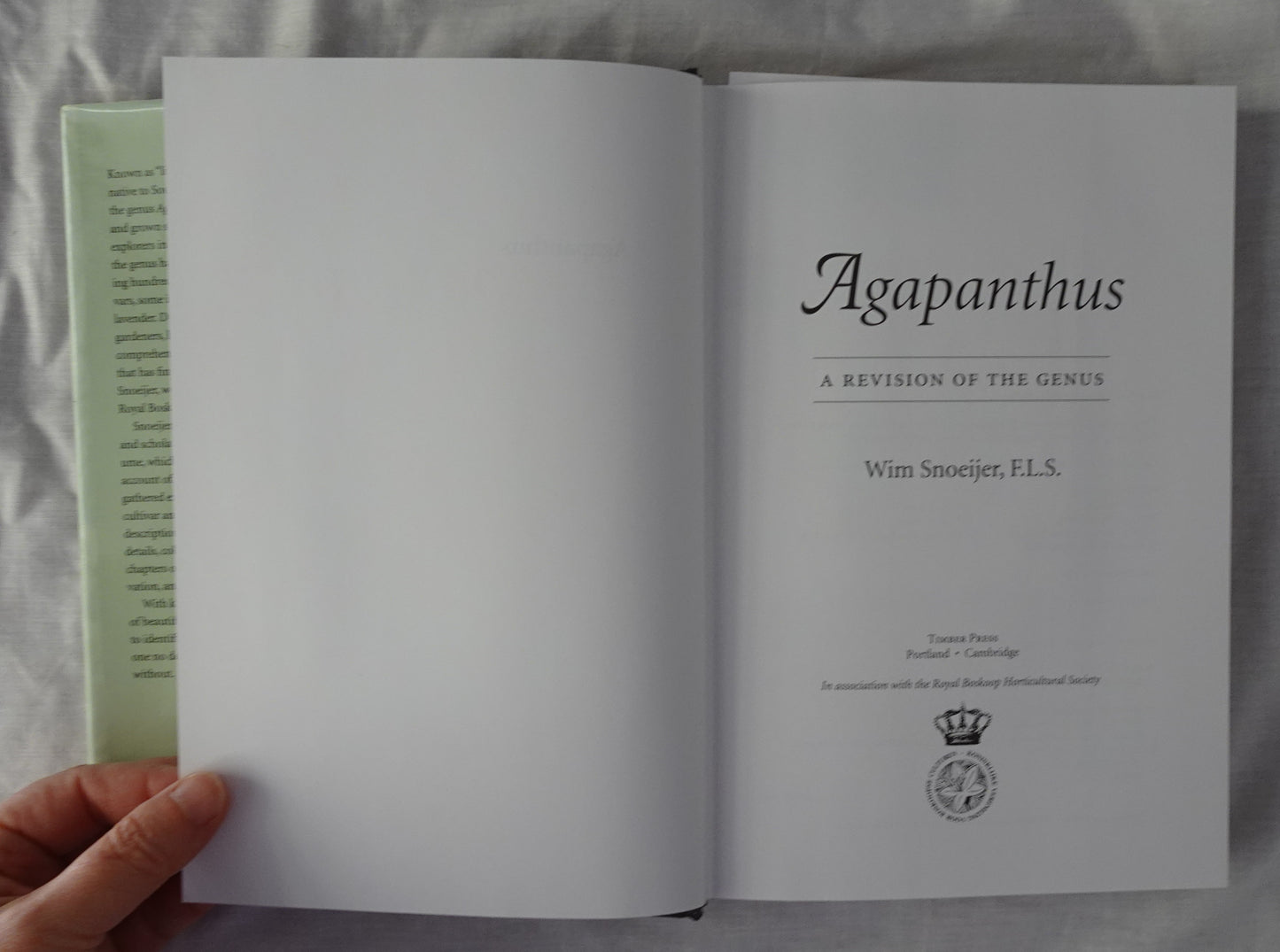 Agapanthus by Wim Snoeijer