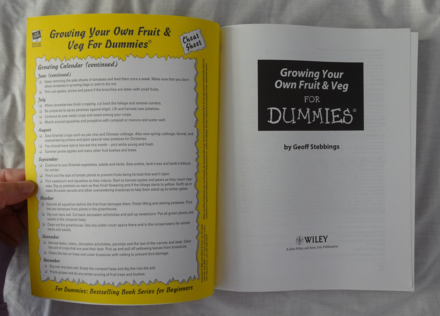 Growing Your Own Fruit & Veg for Dummies by Geoff Stebbings