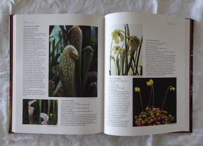 A Guide to Carnivorous Plants of the World by Gordon Cheers