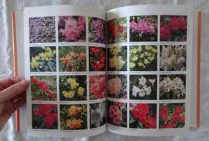 Growing Rhododendrons by Richard Francis