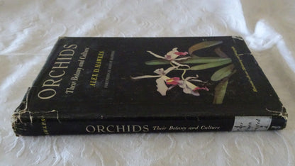 Orchids by Alex D. Hawkes
