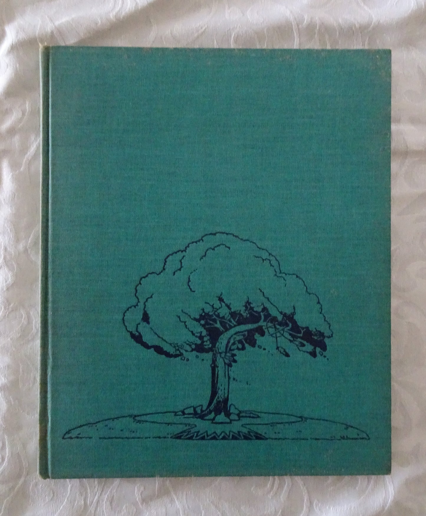 Tree in the Trail by Holling Clancy Holling