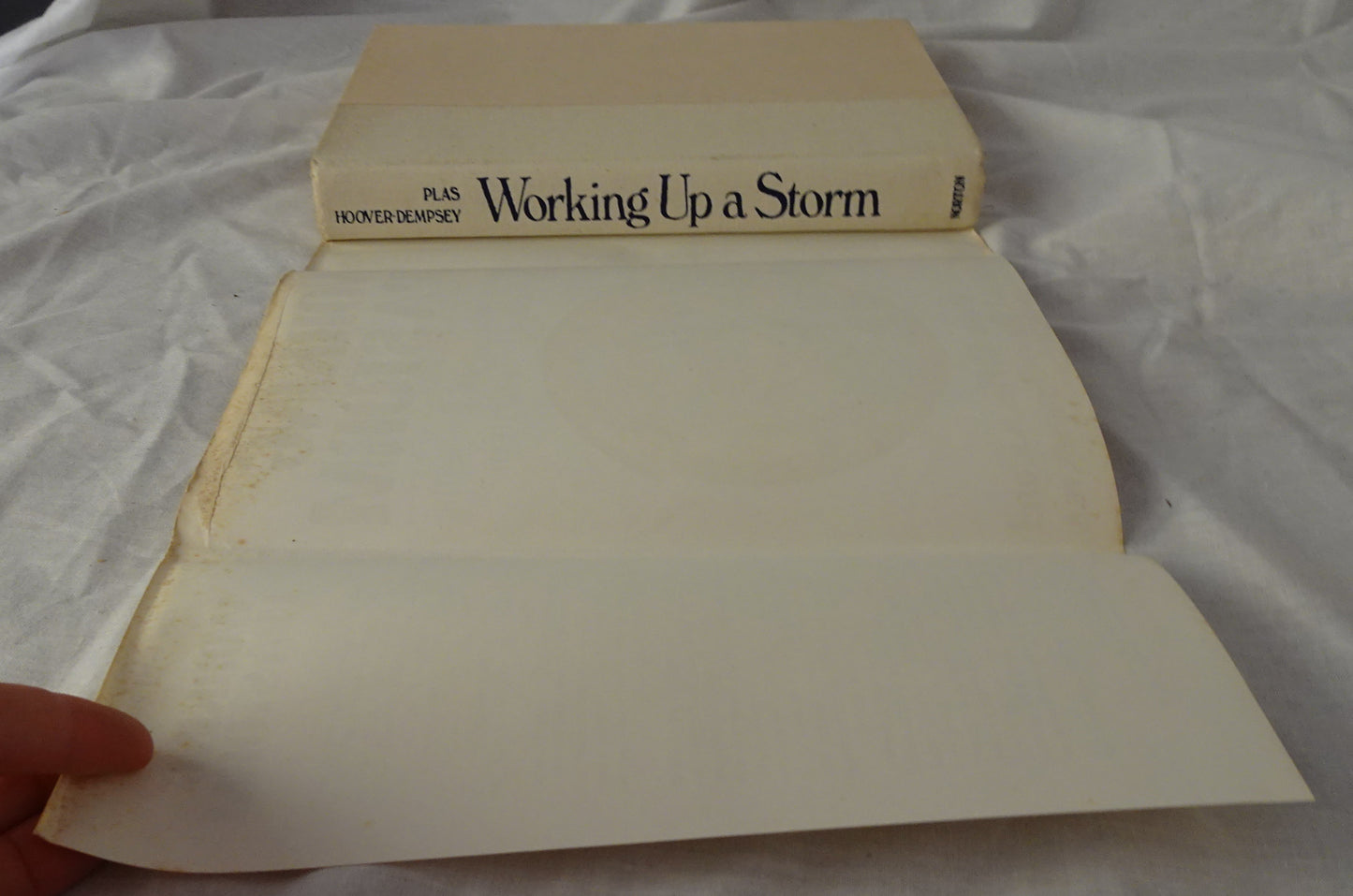 Working Up a Storm by Jeanne M. Plas and Kathleen V. Hoover-Dempsey