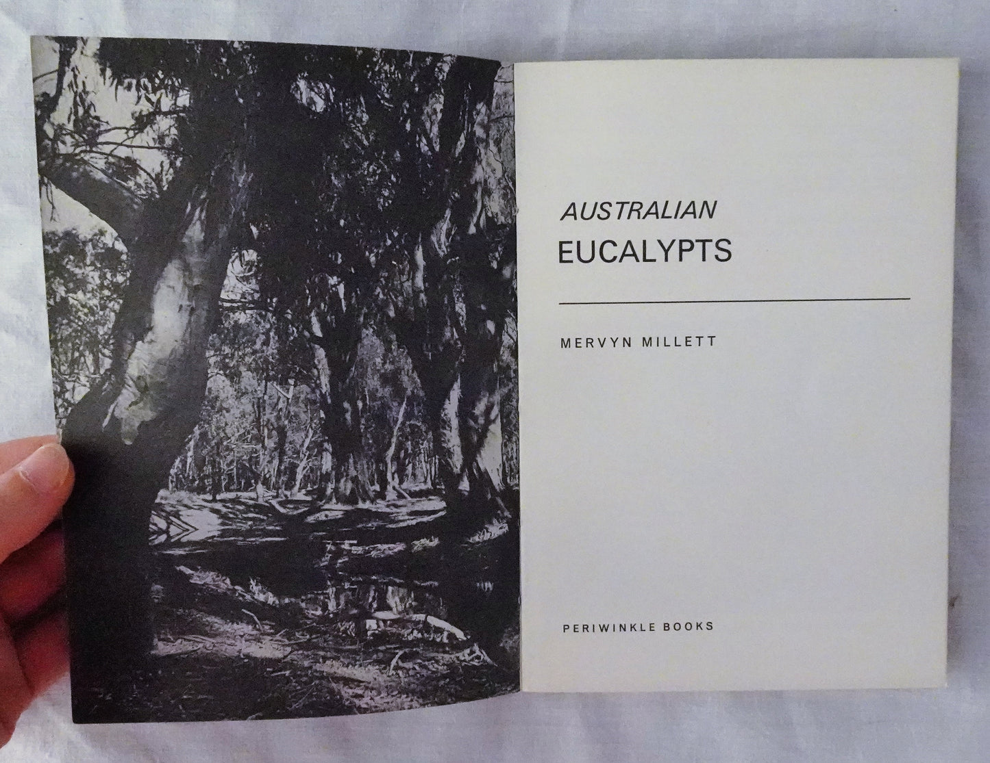Australian Eucalypts by Mervyn Millett