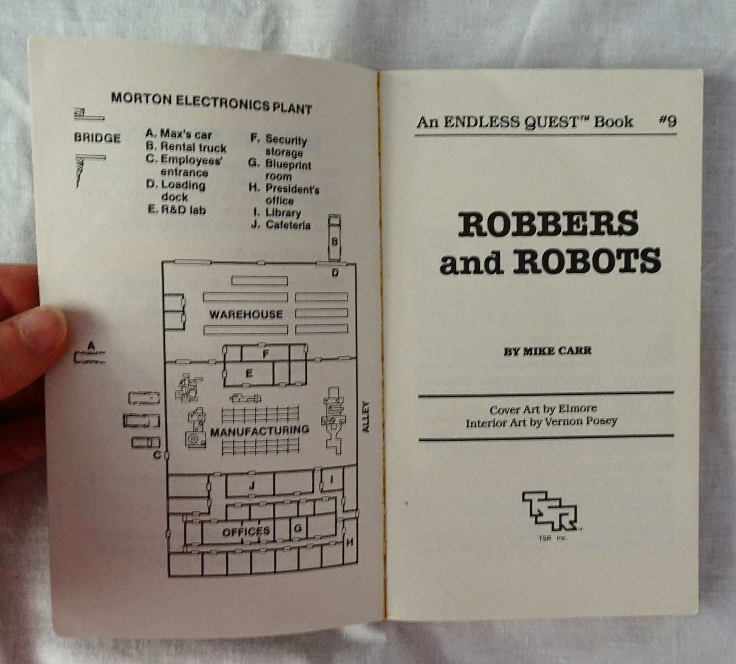 Robbers and Robots by Mike Carr